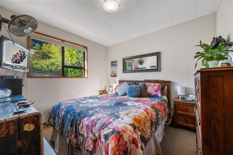 Photo of property in 14 Naylor Street, Clyde, 9330