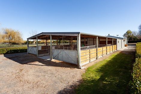 Photo of property in 78 Tower Road, Matamata, 3471