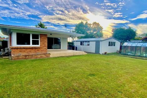 Photo of property in 115 Fitzroy Avenue, Fitzroy, Hamilton, 3206