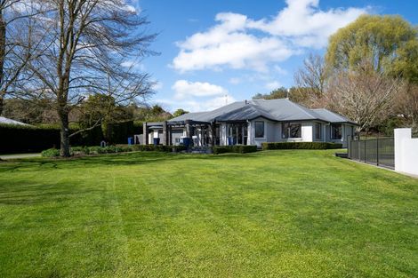 Photo of property in 80 Maungakawa Road, Cambridge, 3496