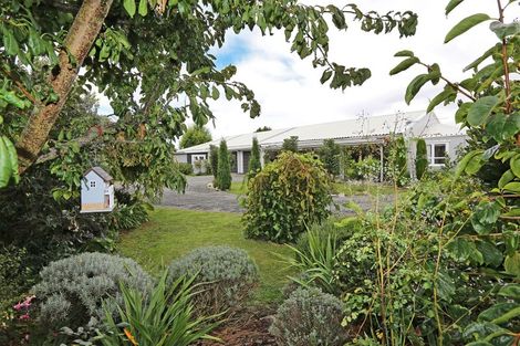 Photo of property in 406 Nelson Street North, Hastings, 4122