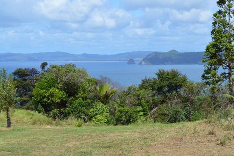 Photo of property in 3 Puriri Place, Tuateawa, Coromandel, 3583