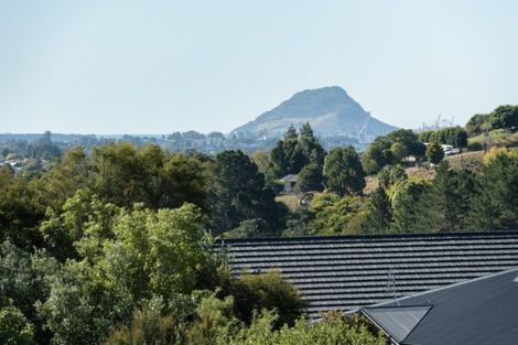 Photo of property in 40 Adler Drive, Ohauiti, Tauranga, 3112