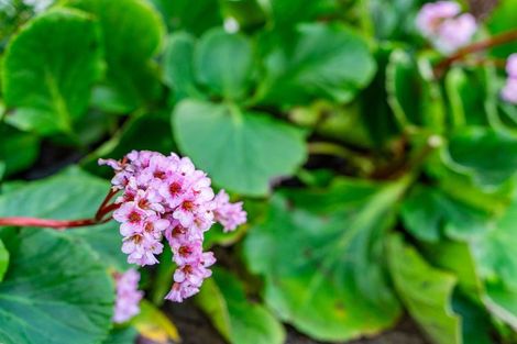 Photo of property in 98 Kaurinui Crescent, One Tree Point, 0118