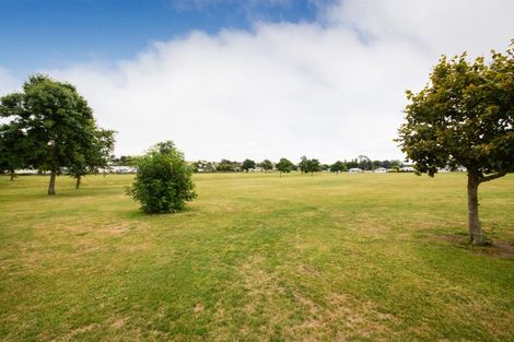 Photo of property in 50 Dewe Avenue, Feilding, 4702