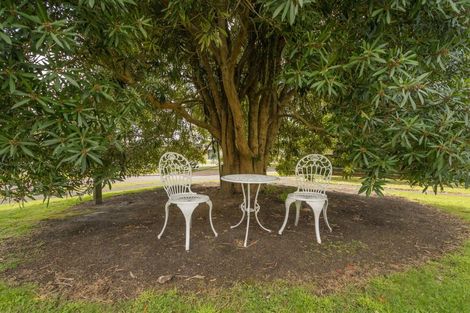 Photo of property in 49 Jubilee Drive, Pauanui, Hikuai, 3579