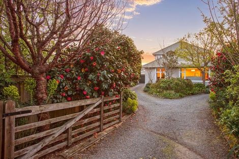 Photo of property in 11 Draper Street, Richmond, Christchurch, 8013