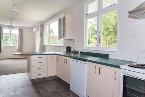 Photo of property in 28a Cole Street, Dannevirke, 4930