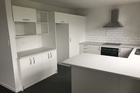 Photo of property in 156 Washington Avenue, Brooklyn, Wellington, 6021