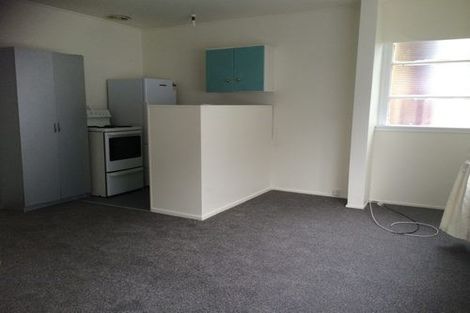 Photo of property in 43 Honiana Te Puni Street, Aro Valley, Wellington, 6021