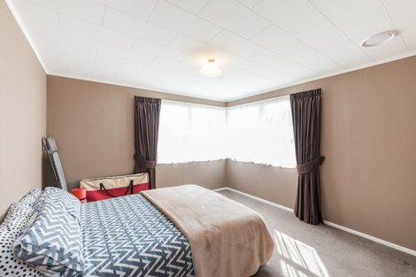 Photo of property in 145 Stanford Street North, Ashhurst, 4810