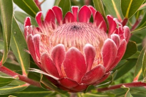 Photo of property in 410 Mahuta Road, Mahuta, Dargaville, 0371