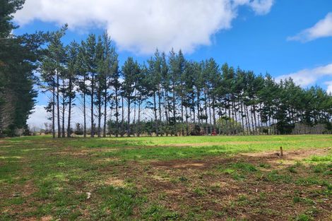 Photo of property in 146 Browns Road, Kaikohe, 0474