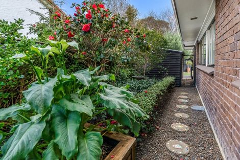 Photo of property in 2/5 Askew Place, Farm Cove, Auckland, 2012