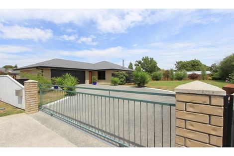 Photo of property in 14 Mcisaac Place, Renwick, 7204