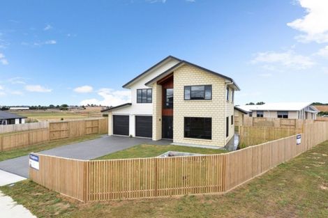Photo of property in 6 Iwi Road, Baverstock, Hamilton, 3200