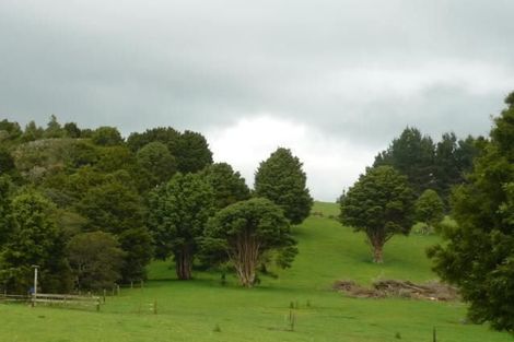 Photo of property in 102 Mangatu Road, Donnellys Crossing, Dargaville, 0376