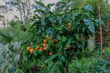 Photo of property in 299 Titirangi Road, Titirangi, Auckland, 0604