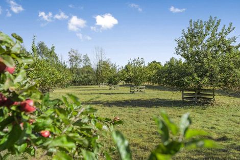 Photo of property in 348b Francis Line, East Taratahi, Carterton, 5792