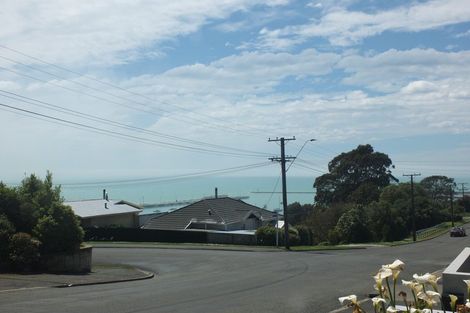 Photo of property in 49 Test Street, South Hill, Oamaru, 9400