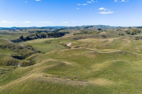 Photo of property in 300 Pattison Road, Akina, Hastings, 4122