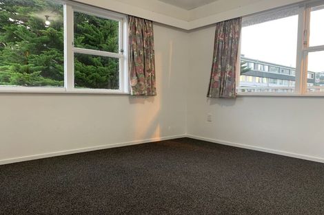 Photo of property in 78 Mcalpine Avenue, Mount Cook, Wellington, 6011