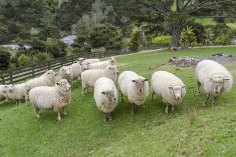 Photo of property in 1170 East Coast Road, Redvale, Albany, 0794