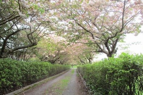 Photo of property in 123 Brunswick Drive, Tikitere, Rotorua, 3074