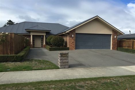 Photo of property in 19 Allison Crescent, Kaiapoi, 7630