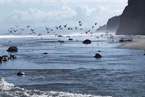 Photo of property in 154 Waitoetoe Road, Mimi, Urenui, 4377