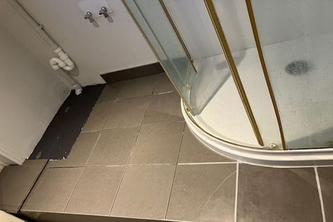 Photo of property in 16a Collie Street, Hillpark, Auckland, 2102