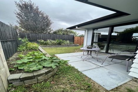 Photo of property in 3 Walker Terrace, Dinsdale, Hamilton, 3204