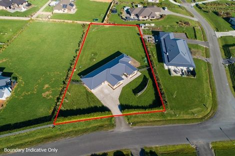 Photo of property in 9 Fallow Avenue, Feilding, 4775