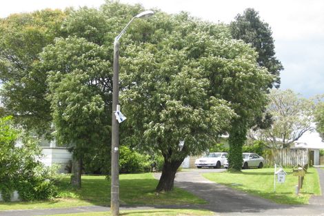 Photo of property in 22 Carbery Place, Manurewa, Auckland, 2102