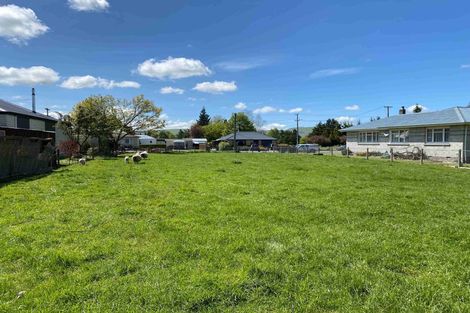 Photo of property in 23 Gray Street, Fairlie, 7925