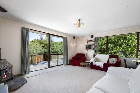 Photo of property in 67 Hauraki Terrace, Pukawa Bay, Turangi, 3381