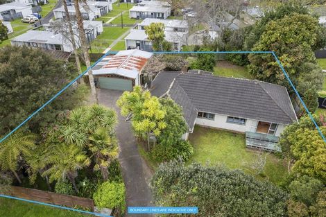 Photo of property in 17 Kervil Avenue, Te Atatu Peninsula, Auckland, 0610