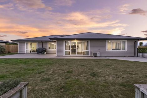 Photo of property in 46a Bavaria Drive, Rolleston, 7614