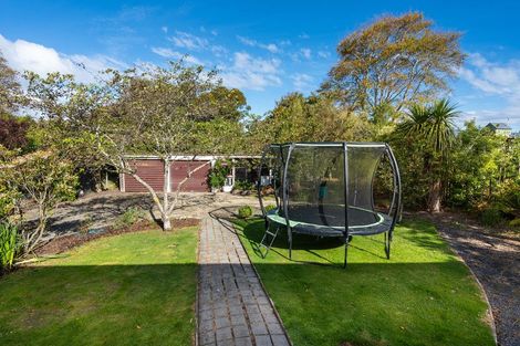 Photo of property in 4 The Terrace, Warrington, Waikouaiti, 9471