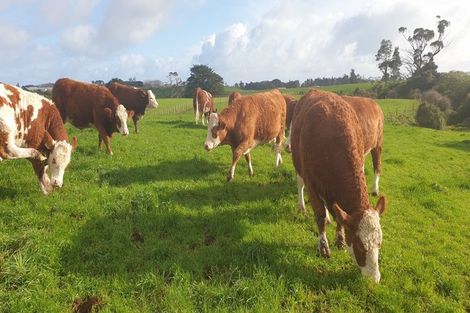 Photo of property in 412a Corbett Road, Lepperton, New Plymouth, 4373