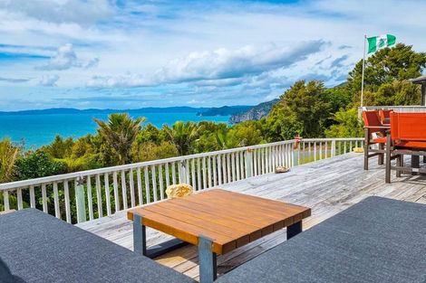 Photo of property in 473e Tuateawa Road, Tuateawa, Coromandel, 3583