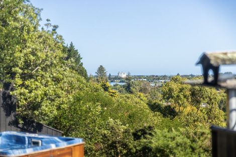 Photo of property in 43 Ngatarua Road, Putiki, Whanganui, 4500