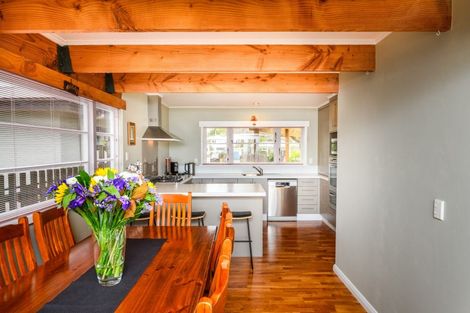 Photo of property in 480 Ruahine Street, Terrace End, Palmerston North, 4410