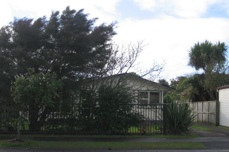 Photo of property in 53 Tongariro Street, Chartwell, Hamilton, 3210