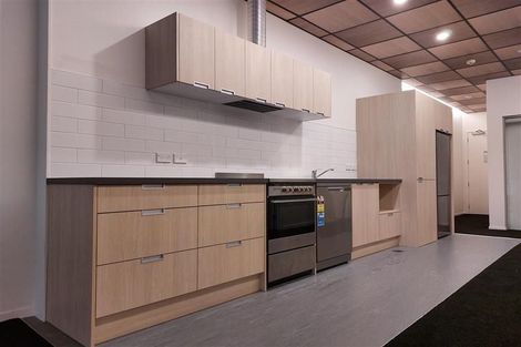 Photo of property in Te Kainga, 195 Willis Street, Te Aro, Wellington, 6011