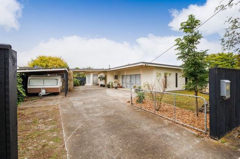 Photo of property in 53 Mulgrave Street, Ashhurst, 4810