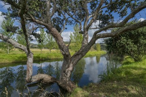 Photo of property in 115 Waipapa Place, Whangapoua, Coromandel, 3582