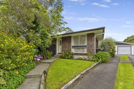Photo of property in 45 Havelock Avenue, Westbrook, Palmerston North, 4412