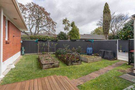 Photo of property in 9 Ngaere Avenue, Chartwell, Hamilton, 3210