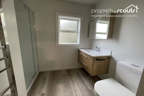 Photo of property in 66 Lonsdale Street, Belleknowes, Dunedin, 9011